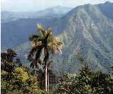 Presenta Cuba Programa Nacional de Lucha contra la contaminación del medio ambiente