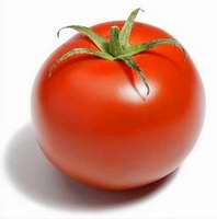 El tomate: bello y útil vegetal
