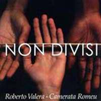 Non divisi