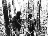 Fidel Castro en la Sierra